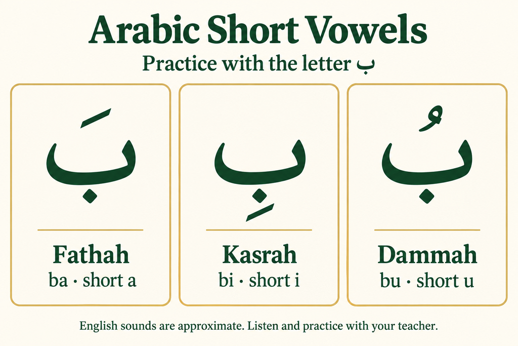 Arabic letter ba with fathah, kasrah, and dammah vowel marks.